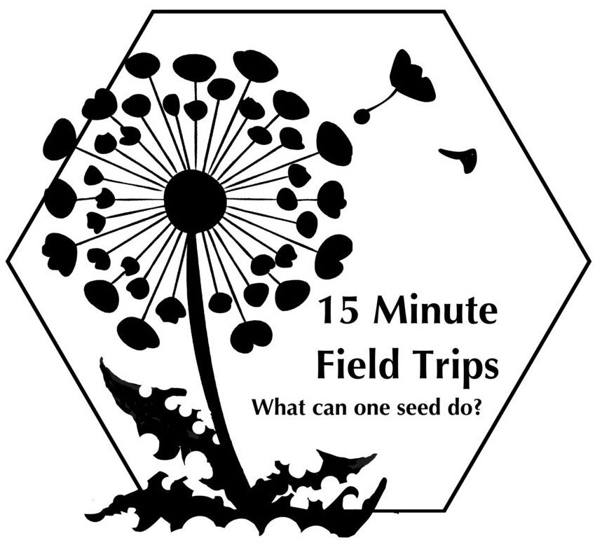 15 minutes field trips logo